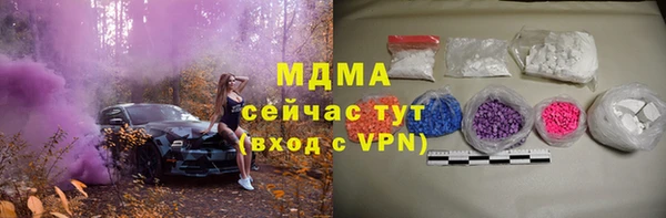 гашик Алексин