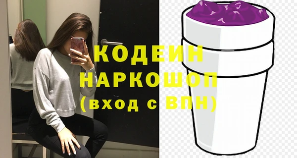 гашик Алексин