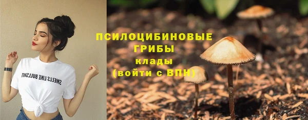 спайс Алзамай