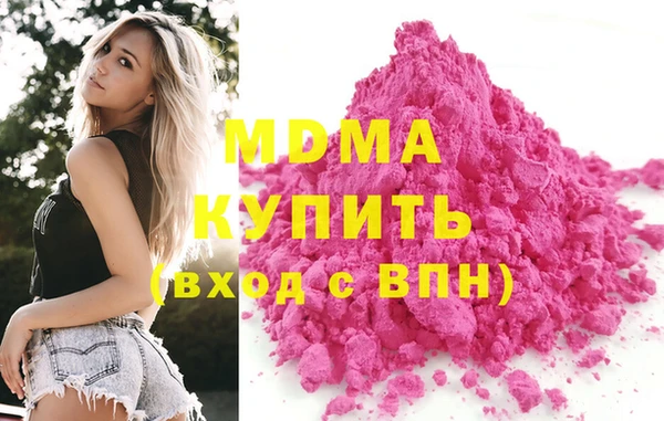 гашик Алексин