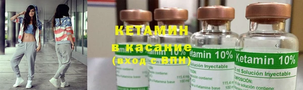 гашик Алексин