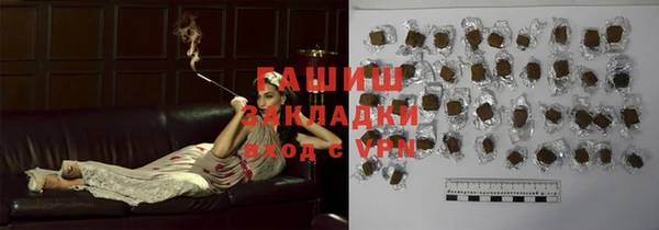 гашик Алексин