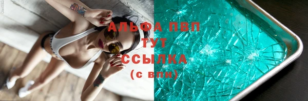 гашик Алексин