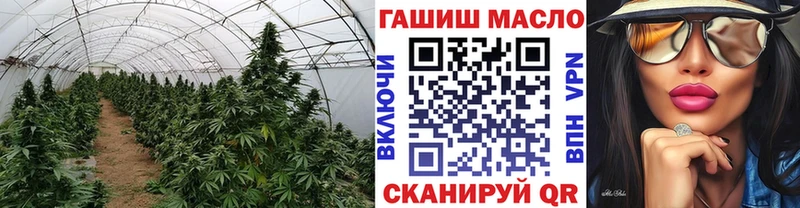 ТГК THC oil  Ардон 
