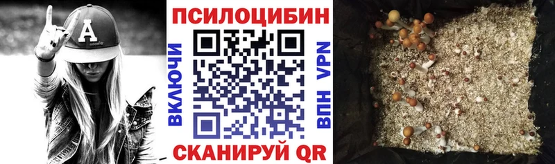 Галлюциногенные грибы прущие грибы  купить наркотик  Ардон 
